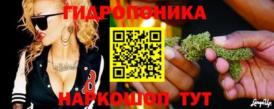 гашик Пенза