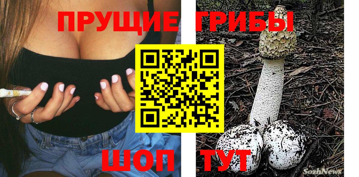 Галлюциногенные грибы Psilocybine cubensis  Вход с VPN  Россия 